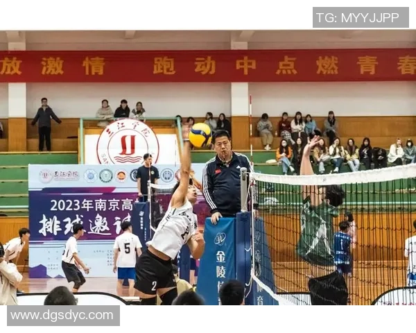 排球盛宴：深入探讨西安排球队的团队协作与默契配合之道