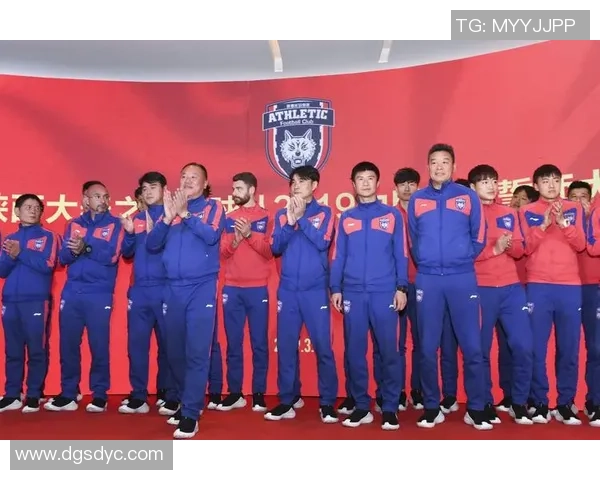 西安网球队实力揭秘：网球巨献背后的故事与成就